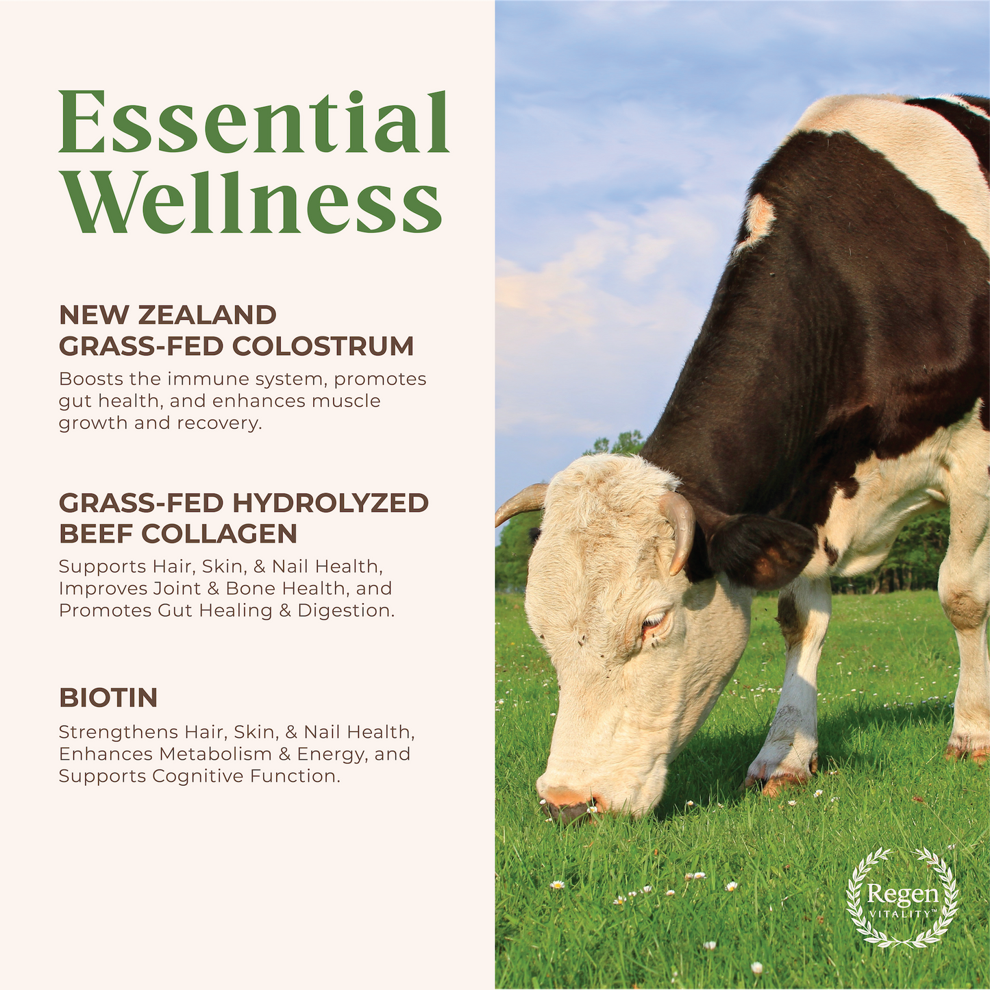 Regen Vitality Grass-Fed Colostrum & Collagen Powder